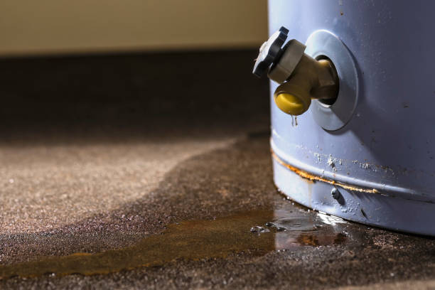 Best Carpet water damage restoration  in Pleasant Hill, PA
