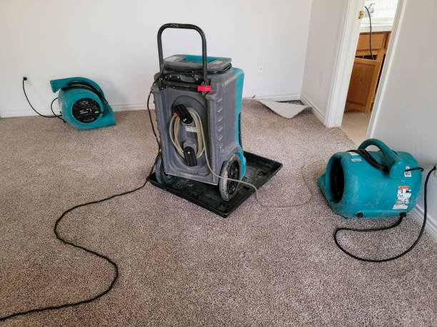 Best Water damage contractors near me  in Pleasant Hill, PA