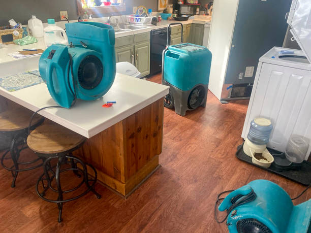 Best Local water damage restoration  in Pleasant Hill, PA