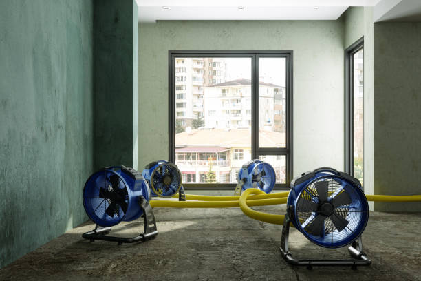Best Commercial water damage restoration  in Pleasant Hill, PA