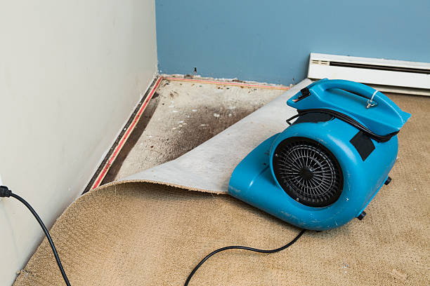 Best Carpet water damage restoration  in Pleasant Hill, PA